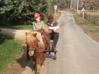 Copie de 20070222_trec_attele_caro_lindsay0047