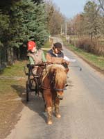 Copie de 20070222_trec_attele_caro_lindsay0049