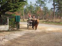 Copie de 20070222_trec_attele_caro_lindsay0057