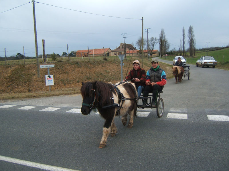 20070218_recon_rallye_attele_avril0007