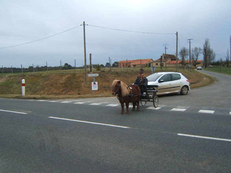 20070218_recon_rallye_attele_avril0008