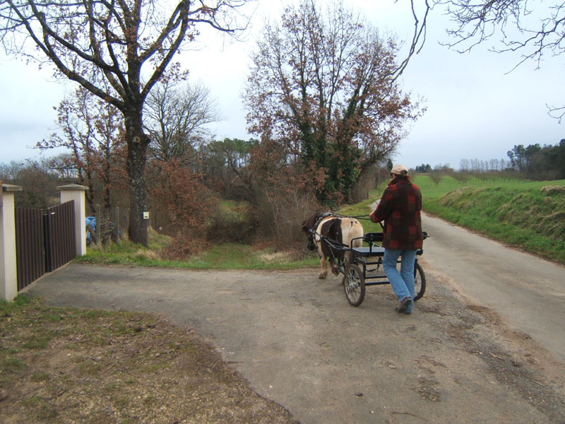 20070218_recon_rallye_attele_avril0079