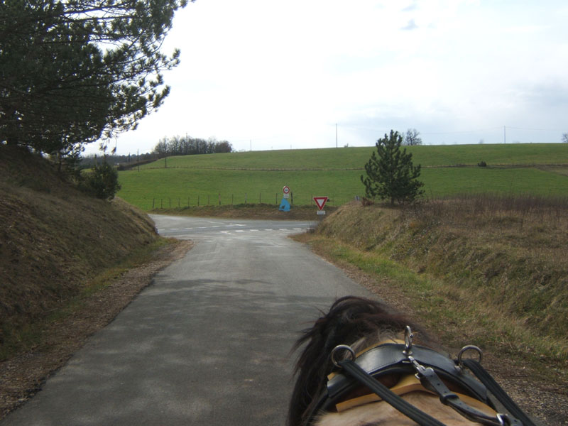 20070218_recon_rallye_attele_avril0144