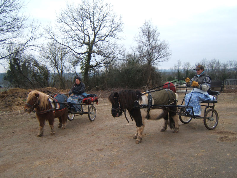 20070126_attelage_promenade_rodemiule0007