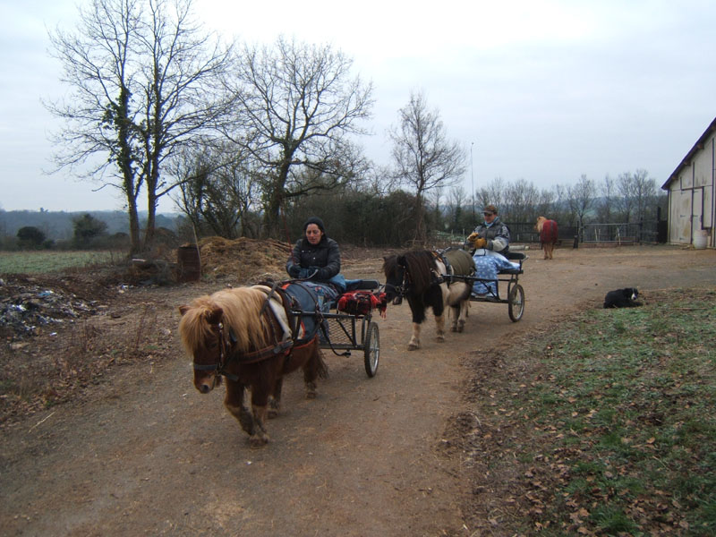 20070126_attelage_promenade_rodemiule0008