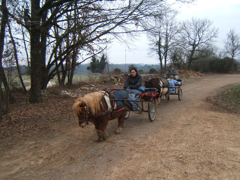 20070126_attelage_promenade_rodemiule0009