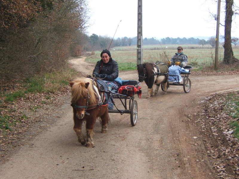 20070126_attelage_promenade_rodemiule0011