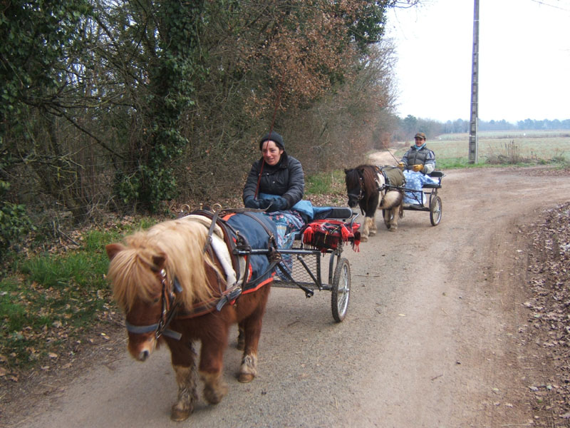 20070126_attelage_promenade_rodemiule0012