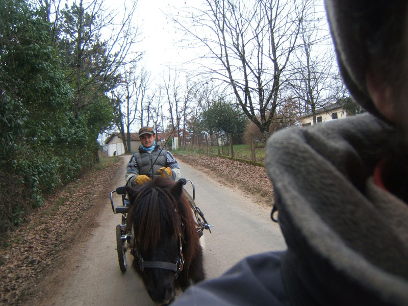 20070126_attelage_promenade_rodemiule0017