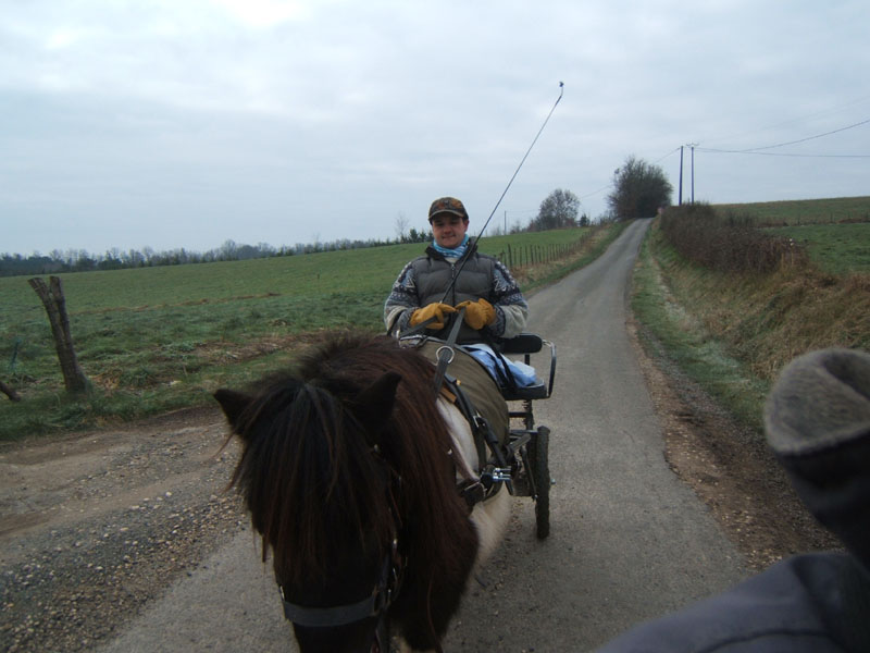 20070126_attelage_promenade_rodemiule0035