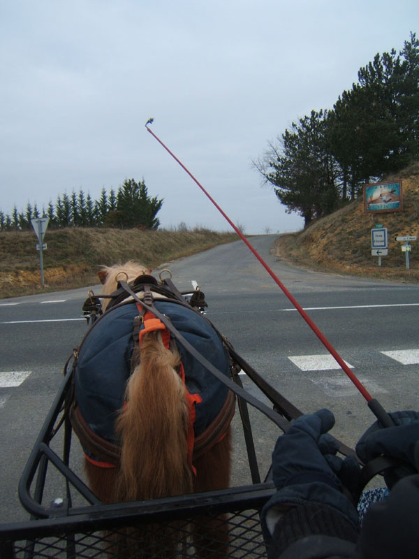 20070126_attelage_promenade_rodemiule0037