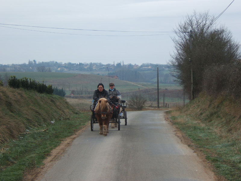 20070126_attelage_promenade_rodemiule0047