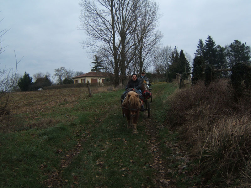 20070126_attelage_promenade_rodemiule0054