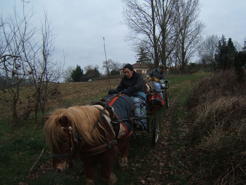 20070126_attelage_promenade_rodemiule0055