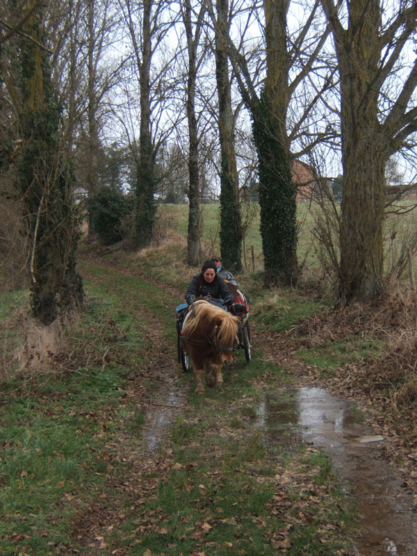 20070126_attelage_promenade_rodemiule0057