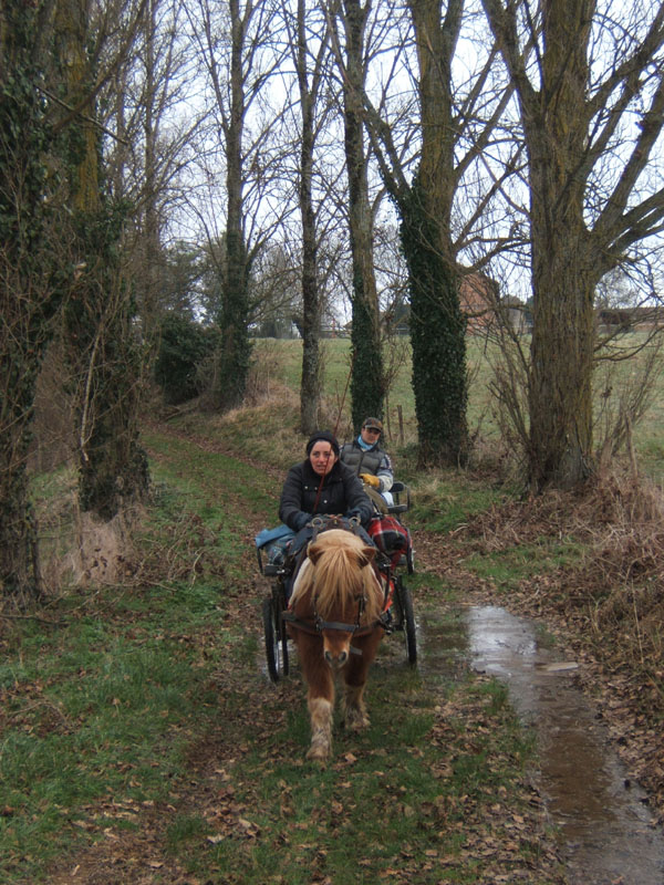 20070126_attelage_promenade_rodemiule0058