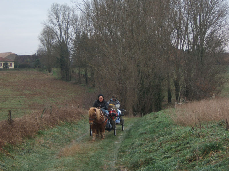 20070126_attelage_promenade_rodemiule0060