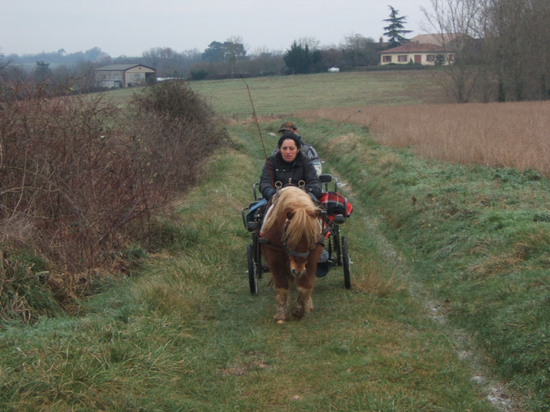 20070126_attelage_promenade_rodemiule0063