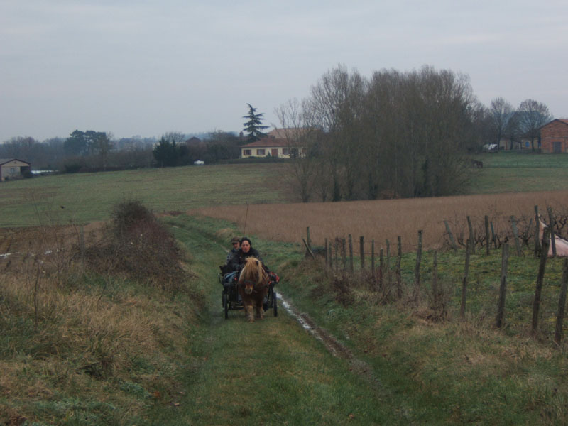 20070126_attelage_promenade_rodemiule0064