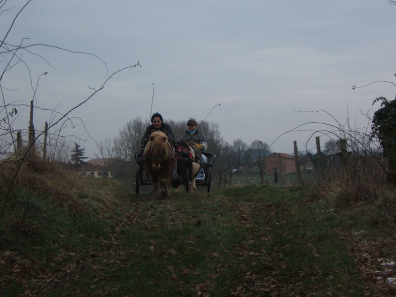 20070126_attelage_promenade_rodemiule0067