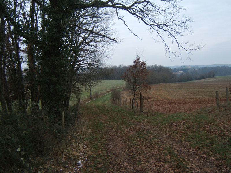 20070126_attelage_promenade_rodemiule0068
