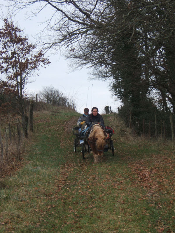 20070126_attelage_promenade_rodemiule0071