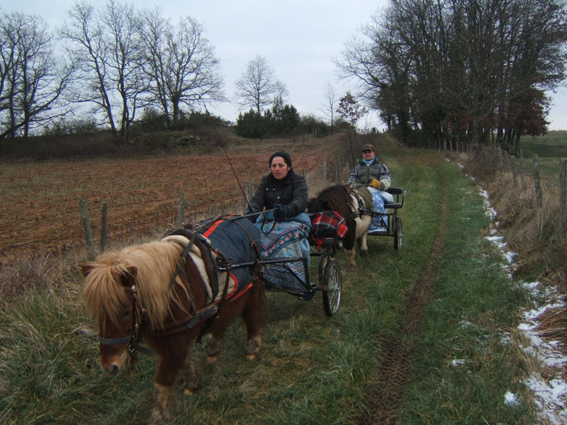 20070126_attelage_promenade_rodemiule0073