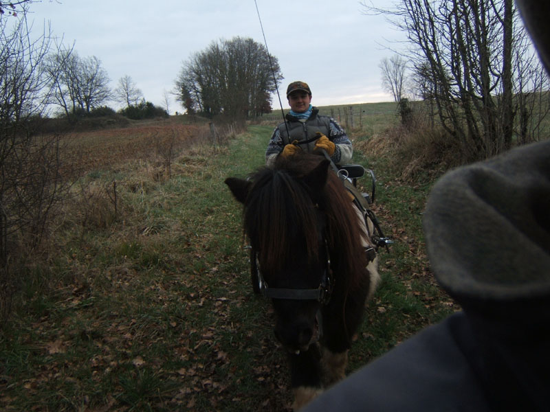 20070126_attelage_promenade_rodemiule0076