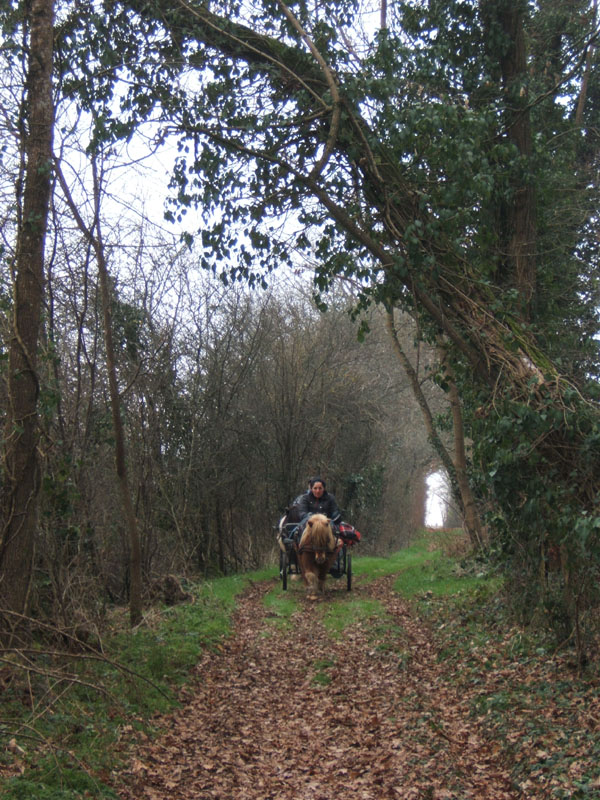20070126_attelage_promenade_rodemiule0086