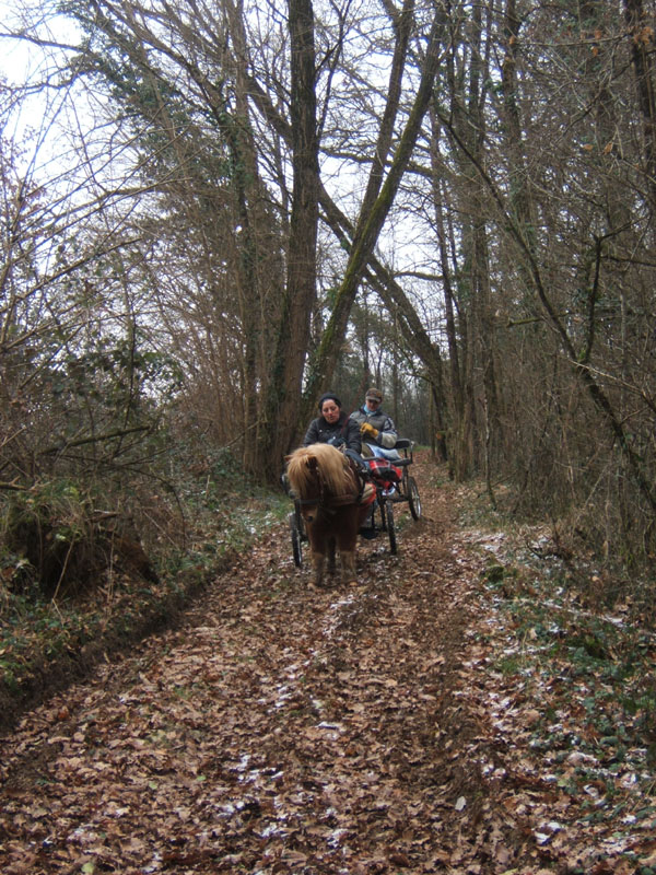 20070126_attelage_promenade_rodemiule0091