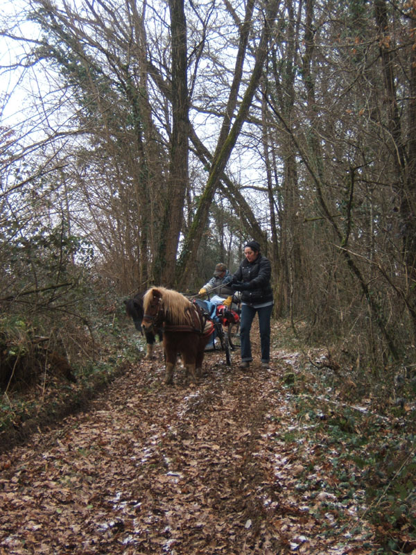 20070126_attelage_promenade_rodemiule0093