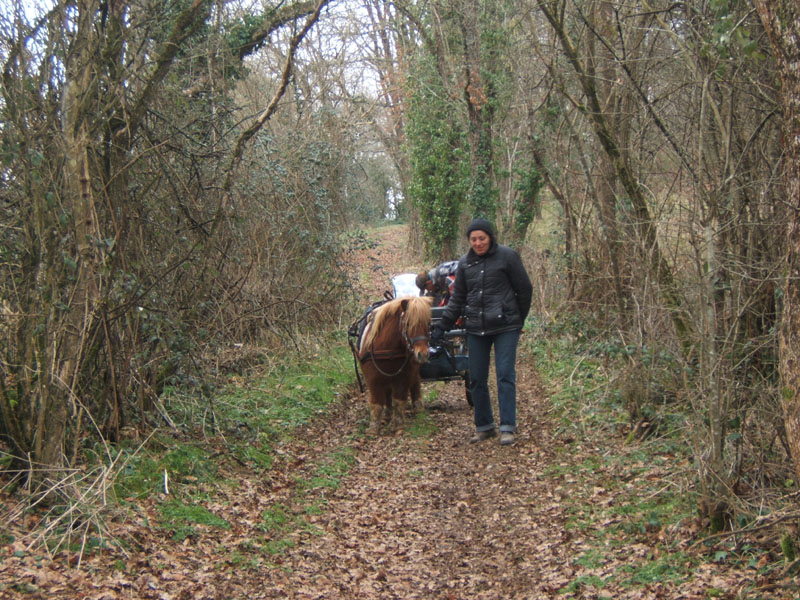 20070126_attelage_promenade_rodemiule0106