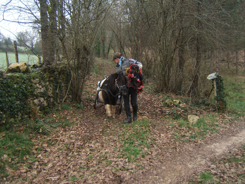 20070126_attelage_promenade_rodemiule0107