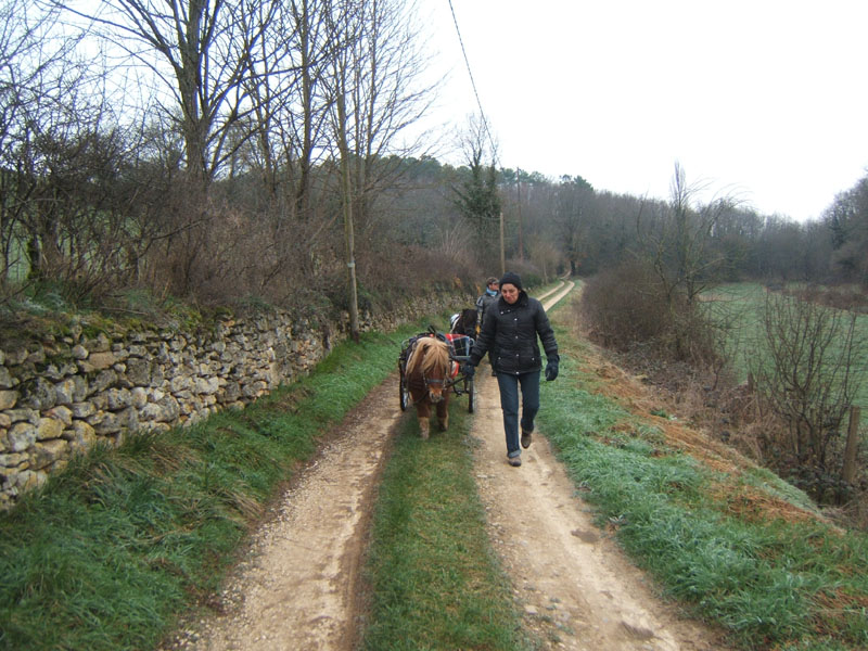 20070126_attelage_promenade_rodemiule0110