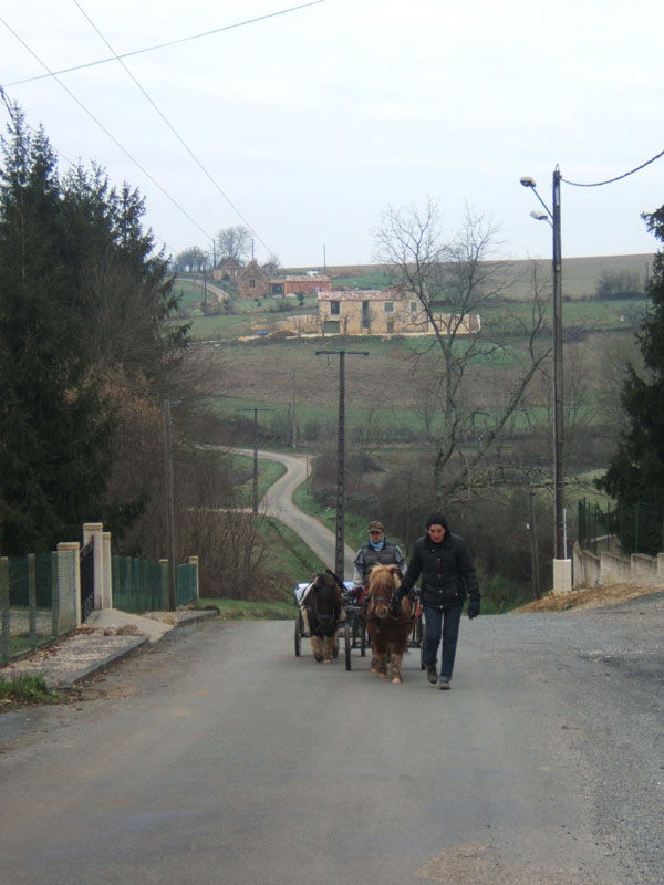 20070126_attelage_promenade_rodemiule0116