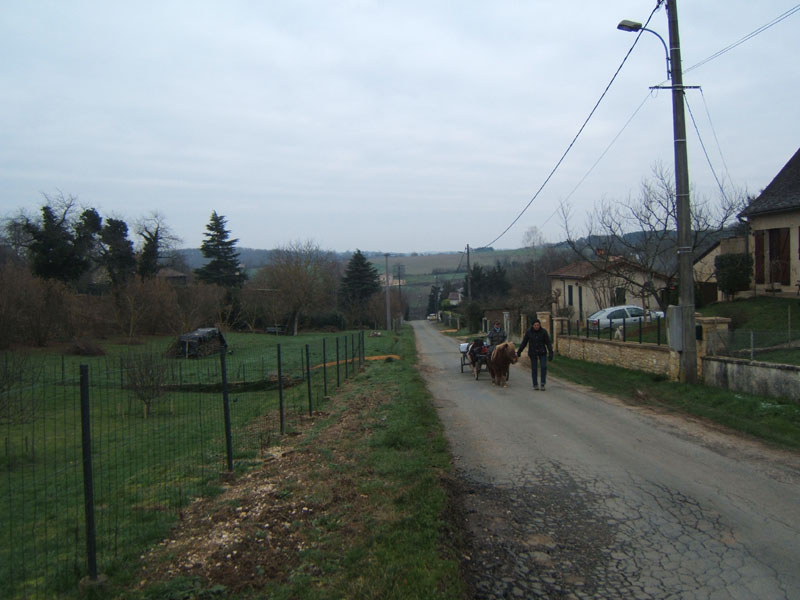 20070126_attelage_promenade_rodemiule0119