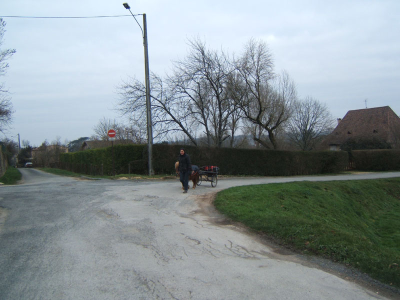 20070126_attelage_promenade_rodemiule0123