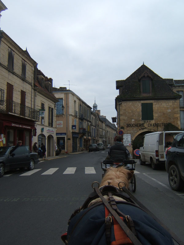 20070126_attelage_promenade_rodemiule0139