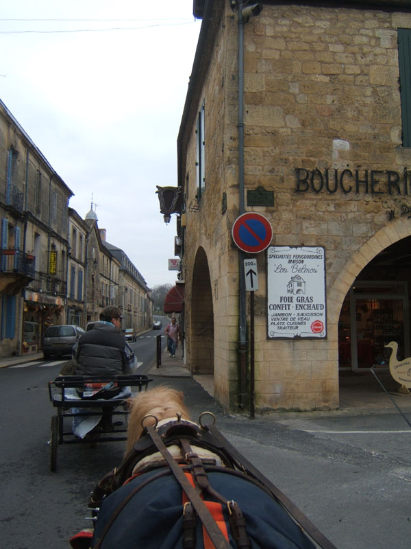 20070126_attelage_promenade_rodemiule0140