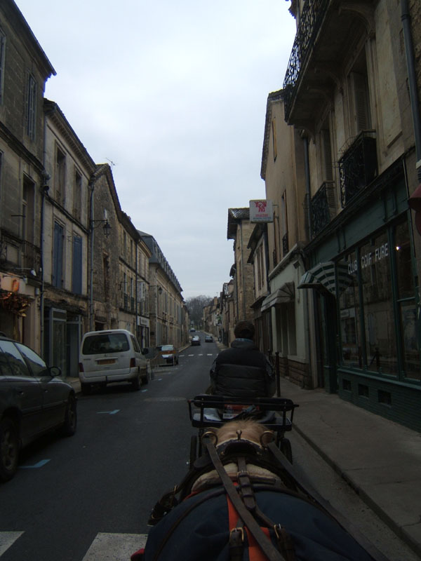 20070126_attelage_promenade_rodemiule0141