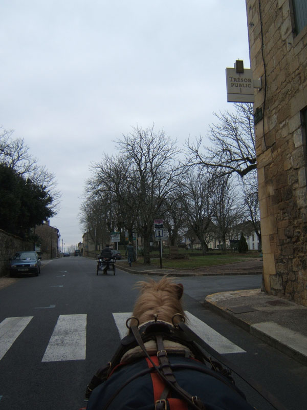 20070126_attelage_promenade_rodemiule0149