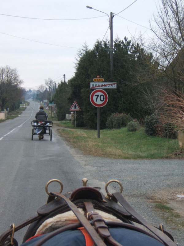 20070126_attelage_promenade_rodemiule0156