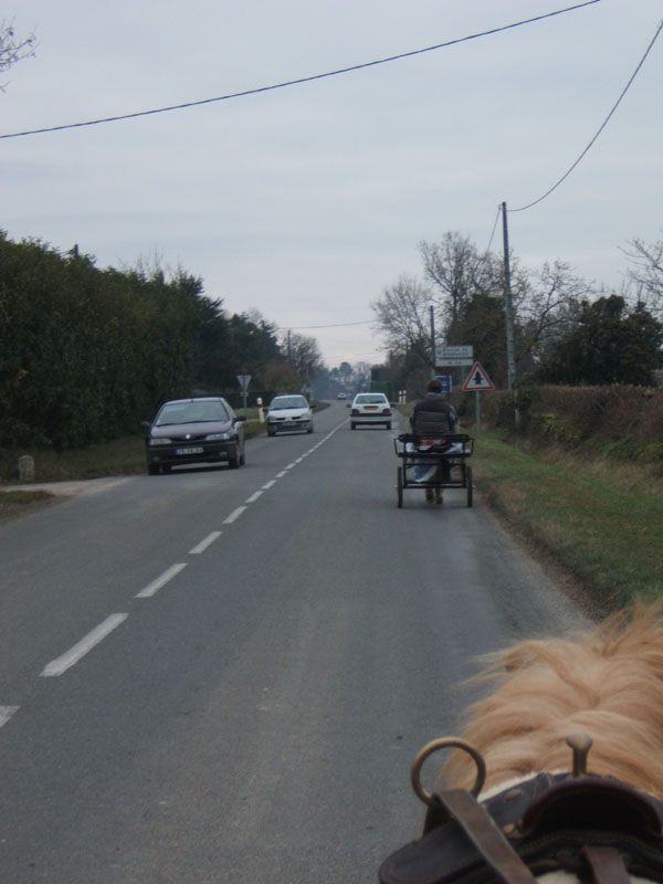 20070126_attelage_promenade_rodemiule0160