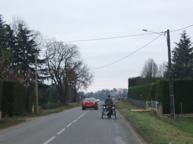 20070126_attelage_promenade_rodemiule0168