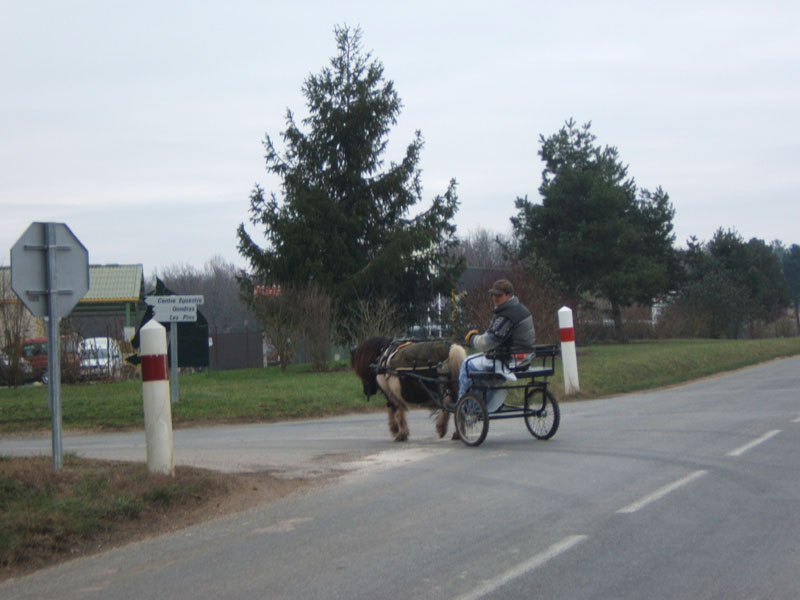 20070126_attelage_promenade_rodemiule0172