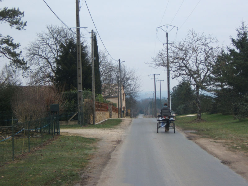 20070126_attelage_promenade_rodemiule0177