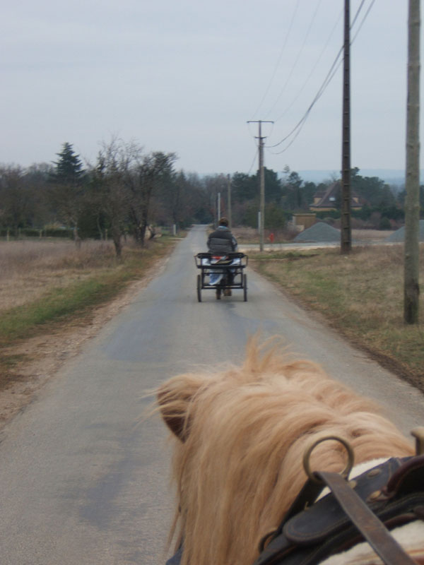 20070126_attelage_promenade_rodemiule0185
