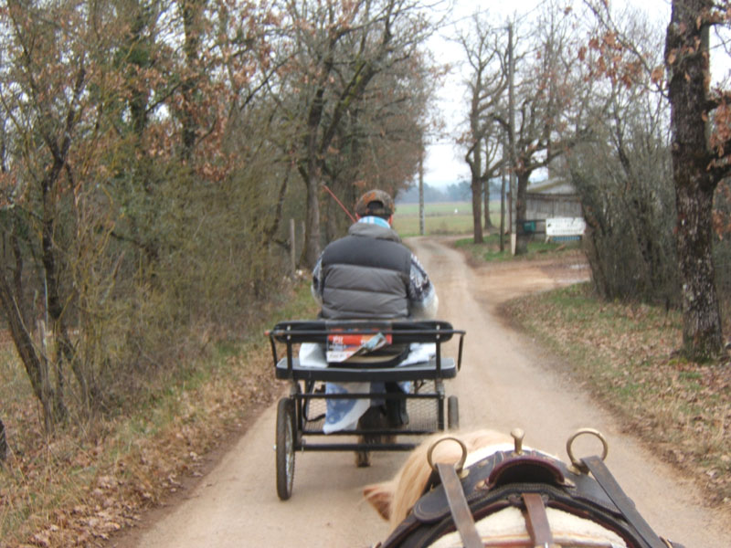 20070126_attelage_promenade_rodemiule0201