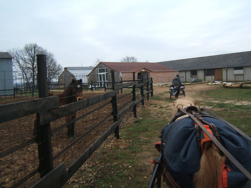 20070126_attelage_promenade_rodemiule0206