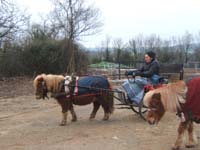 20070126_attelage_promenade_rodemiule0002